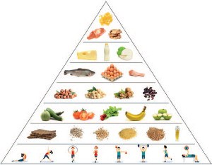 piramida żywienia wg uniwersytetu Harvarda