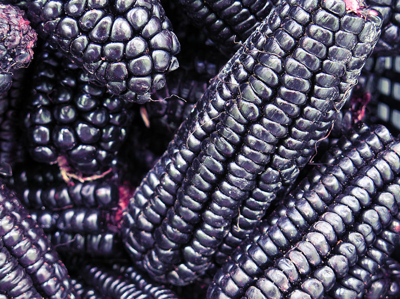 40669328 - pile of peruvian purple corn background