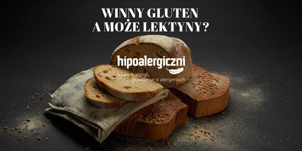 hipoalergiczni-winny-gluten-a-moze-lektyny-roślinne-kłamstwo-Steven-R-Gundry