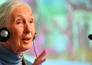 Auftaktpressekonferenz BIOFACH und VIVANESS Dr. Jane Goodall
